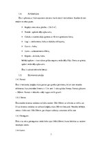 Konspekts 'Dzīvojamās ēkas renovācijas projekts', 3.