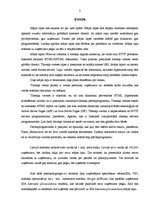 Biznesa plāns 'Interneta reklāmas Google AdWords izmantošana potenciālo klientu piesaistīšanā', 3.