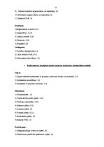 Biznesa plāns 'Interneta reklāmas Google AdWords izmantošana potenciālo klientu piesaistīšanā', 10.