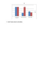 Biznesa plāns 'Interneta reklāmas Google AdWords izmantošana potenciālo klientu piesaistīšanā', 19.