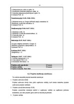 Biznesa plāns 'Interneta reklāmas Google AdWords izmantošana potenciālo klientu piesaistīšanā', 22.