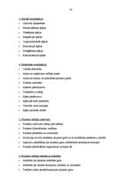 Biznesa plāns 'Interneta reklāmas Google AdWords izmantošana potenciālo klientu piesaistīšanā', 24.