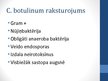 Referāts 'Clostridium botulinum baktērija, botulisms', 22.