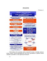 Referāts 'Dabas katastrofa - ekstrēmas vētras, kas skar Kurzemi un Vidzemi.', 23.