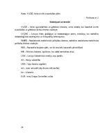 Referāts 'Dabas katastrofa - ekstrēmas vētras, kas skar Kurzemi un Vidzemi.', 24.