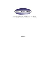 Paraugs 'Industrijas un produkta analīze', 1.