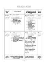 Paraugs 'Industrijas un produkta analīze', 4.