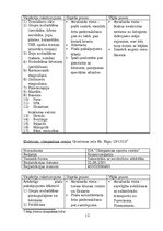 Paraugs 'Industrijas un produkta analīze', 12.