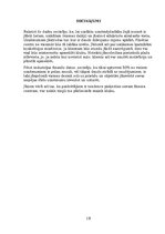 Paraugs 'Industrijas un produkta analīze', 19.