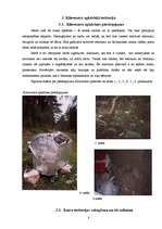 Referāts 'Klievezers - mūsu pagātne vai nākotne? ', 8.