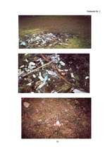 Referāts 'Klievezers - mūsu pagātne vai nākotne? ', 32.