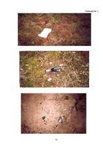 Referāts 'Klievezers - mūsu pagātne vai nākotne? ', 33.