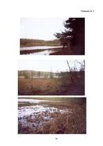 Referāts 'Klievezers - mūsu pagātne vai nākotne? ', 34.