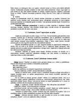 Konspekts 'SIA "Sunset" analīze', 3.