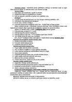 Konspekts 'SIA "Sunset" analīze', 4.