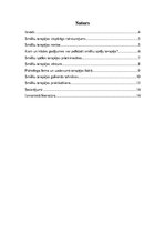 Referāts 'Smilšu terapija', 3.