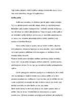 Referāts 'Smilšu terapija', 12.