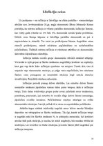 Referāts 'Inflācija: cēloņi un tās veidi. Inflācijas sociāli - ekonomiskās sekas', 16.