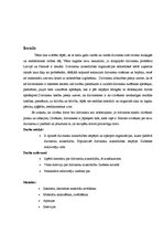 Referāts 'Dzīvnieku aizsardzība', 2.