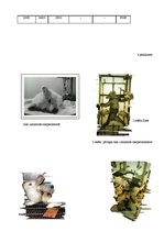 Referāts 'Dzīvnieku aizsardzība', 29.