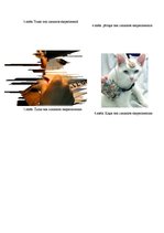 Referāts 'Dzīvnieku aizsardzība', 30.