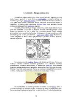 Konspekts 'Aristotelis', 13.