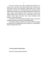 Diplomdarbs 'Uzņēmuma finanšu analīze', 6.