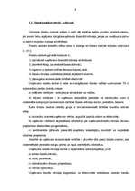 Diplomdarbs 'Uzņēmuma finanšu analīze', 8.