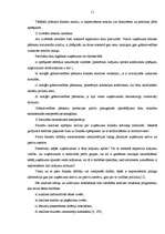 Diplomdarbs 'Uzņēmuma finanšu analīze', 10.