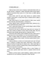 Diplomdarbs 'Uzņēmuma finanšu analīze', 11.