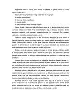 Diplomdarbs 'Uzņēmuma finanšu analīze', 20.