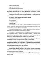 Diplomdarbs 'Uzņēmuma finanšu analīze', 23.