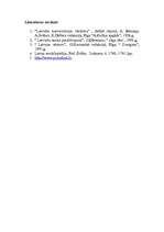 Referāts 'Latvijas vēstures procesu periodizācija pēc personāliju - līderu kritērija', 9.