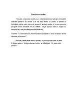 Referāts 'Pusaudžu un skolotāju savstarpējās attiecības', 4.