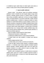 Referāts 'Preču iegāde internetā un ar to saistītās problēmas patērētāju tiesību aizsardzī', 9.