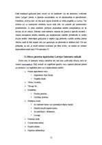 Referāts 'Preču iegāde internetā un ar to saistītās problēmas patērētāju tiesību aizsardzī', 13.