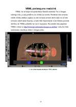 Referāts 'VRML un virtuālā pasaule', 10.