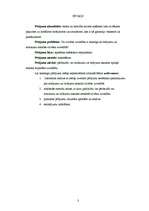 Referāts 'Notikumu un ticējumu sasaiste cilvēka uzvedībā', 3.