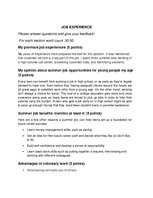 Konspekts 'Job Experience', 1.