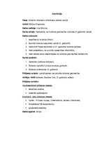 Referāts 'Kubisms 21.gadsimtā Latvijā', 2.