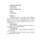 Referāts 'Kubisms 21.gadsimtā Latvijā', 7.