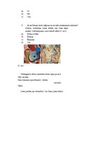 Referāts 'Kubisms 21.gadsimtā Latvijā', 37.