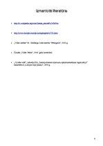 Konspekts 'Zemes atmosfēra', 9.