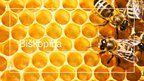 Prezentācija 'Bioekonomikas nozares pētījums. Biškopība', 1.
