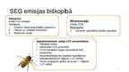 Prezentācija 'Bioekonomikas nozares pētījums. Biškopība', 2.