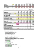 Referāts 'Экспертиза проекта развития трансортного предприятия', 21.