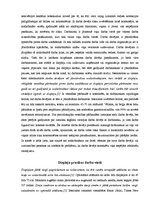 Referāts 'Ergonomika darbā ar displeju ierīcēm', 4.