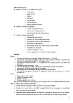 Eseja 'Pārvietošanās problēmas cilvēkiem ar īpašām vajadzībām', 3.