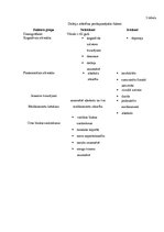 Referāts 'Alkohola delīrijs neatliekamās medicīniskās palīdzības etapā', 12.