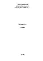 Referāts 'Plaģiātisms', 1.